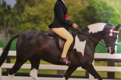 Megan-Champney-and-Penrock-Perfect-Puzzle