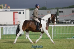 Craig-Wilson-Hole-Horse_Pony-Wilson-Stars-Eclipse