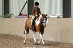 Jemima-Makin-Jones-Horse_Pony-My-Country-Belle