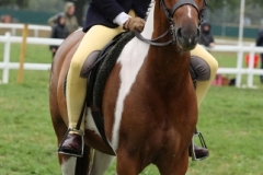 Megan-Victor-Horse_Pony-Owston-Special-Edition