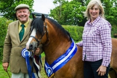 Ysselvliedt Highwood