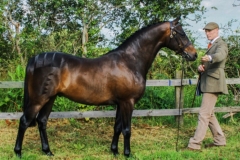 Ian Boylan and Litton Salvador