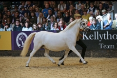 Sarah Tibbey and Fouroaks Coco Chanel