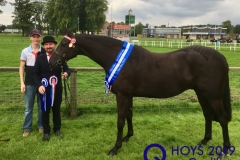 Allan-Dillingham-and-Tuscany-Take-That