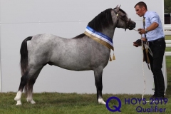 Tom-clark-and-Betws-onid