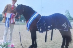 Tom Pearson and Collstone Mastermind