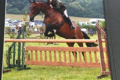 General Law and Andrew Amy