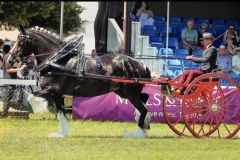Richard-Green-and-Westfield-Calendar-Girl