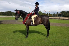 Phoebe Rocks and Greenbarrow Mr. Darcy