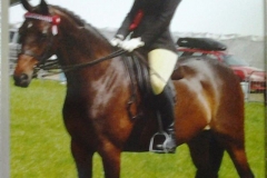 Oakstead Panache and Abbey Gresty