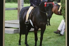 Eugenie Godfrey-Faussett and Woodroyd Celebration