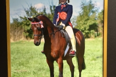 Lauren Tate and Brookwater Toy Boy