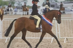 Harriet-Binks-and-Woodview-Ianthe-