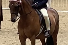 Archie-Rendell-and-Wytchwood-love-potion