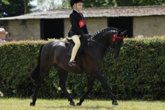 Lincolnshire County Show