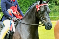 Jemima-Makin-Jones-and-Chaseford-Chatismatic