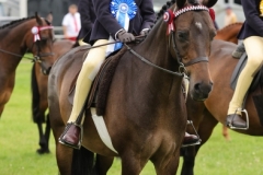 Sophie-Turner-and-Cosford-Vanguard