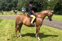 Zara-Plumer-and-Toya-Mission-Accomplished