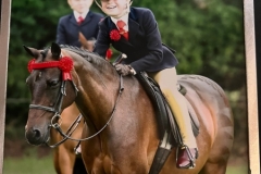 Penny-Richardson-Horse_Pony-Barrdene-Romeo