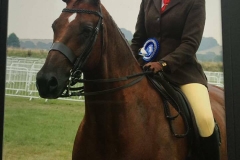 Gone With the Wind and Rosie Try