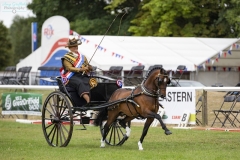 Gillian-McNinch-and-Noddyvyse-Prestige