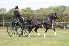 Malcolm-Salter-and-Koning