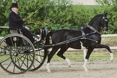 Malcolm-Salter-and-Koning-