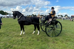 Oliver-Salter-and-KONING