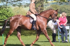 Laura Jones and sunnycroft pure silk