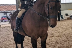 Kimberley-Morton-and-Braithwaite-Countryman