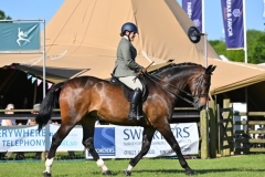 Amy-Williams-Horse_Pony-Remember-Rossmore