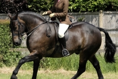 Hallie-Booty-and-AERO-