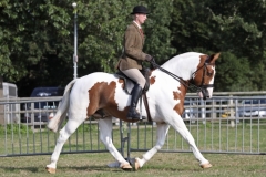 William-hibbert-and-Mr-Popplewick