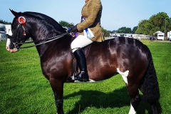 Joanne Snelling and Colour Coded