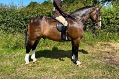 Jodie-English-and-Rathnagrew-Tom