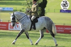 Hortons-Obsession-and-Luke-Boardman