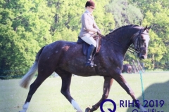 Bronte Hatton Ritchie and Kavanaghs mr right