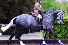 Chris Hunnable and Ali’s Real Bright Spark