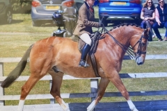 Lucy-fisher-and-Golden-Inca-cross-