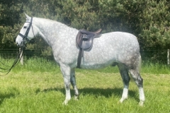 William-Hibbert-and-Westside-Bond-Street