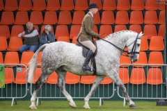 William-Hibbert-and-Westside-Bond-Street