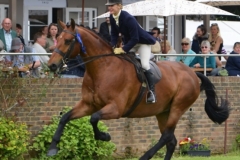 Helen-Cowley-and-Dragons-Den-2