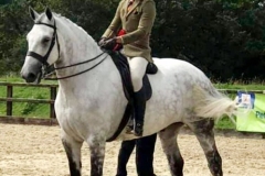 Jake-John-and-Grey-Clover