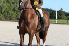 Chloe-Tinson-and-Mr-Ramsey