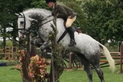 Sue Walker and Classy Rebel