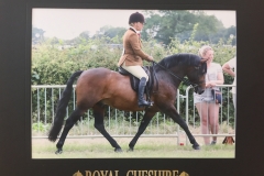 Carla Fall and Sway Mister Darcy