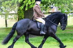 Lizzie Rowley and Tarbarl Hogmanay