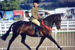 Caitlin Bradley & Carnsdale Catwalk