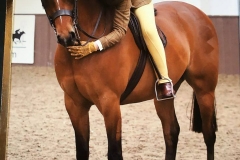 Rotherwood Mr Motivator and Maddie Bennett