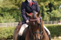 Leah-Sharp-Horse_Pony-Carrhouse-Hidden-Asset